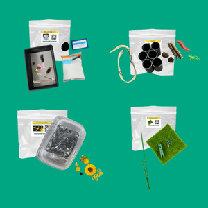 Insect Activity Box